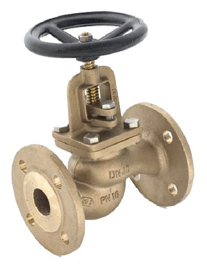 Globe Valve RG5