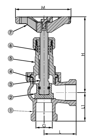 Globe Valve RG5