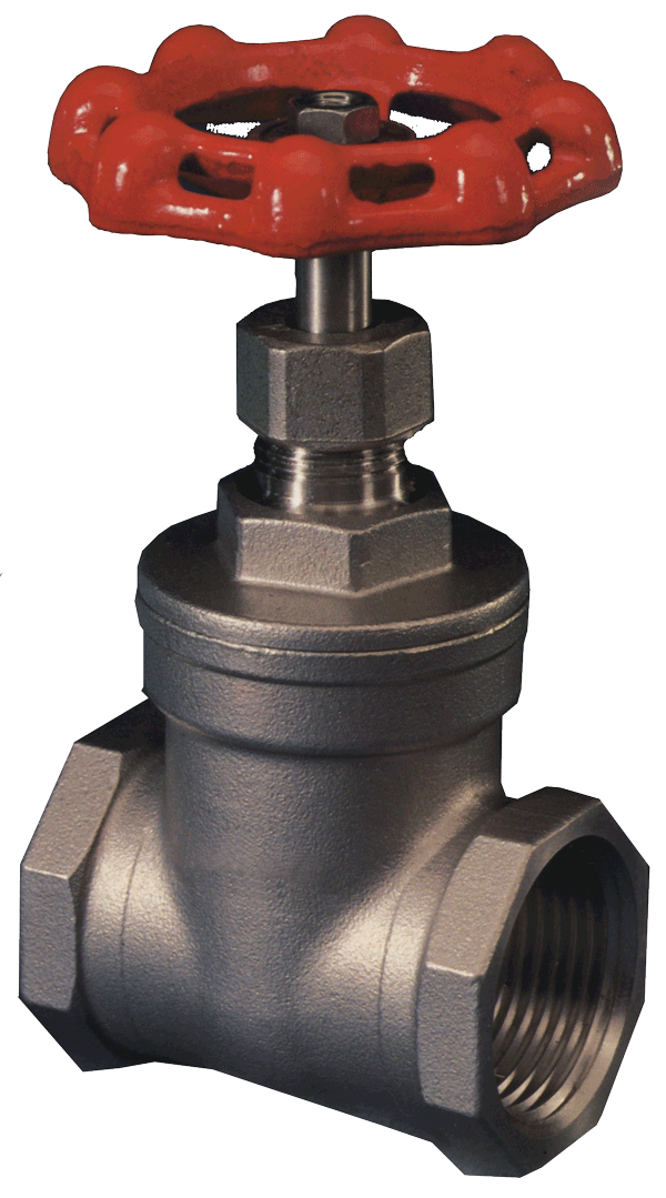 Gate Valve AISI316 