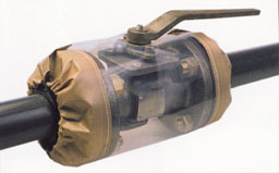 valve shield
